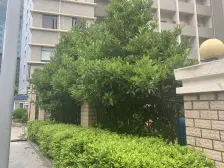 房东诚意出售,看房提前电话预约,采光五遮挡