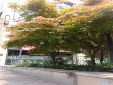 楼层高视野好,有稳定租金可收,双轻轨门口公交车站