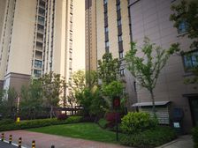 景瑞御府首排180平联排边户带大院子