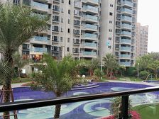 碧桂园品牌 四房两厅 楼层采光好 业主自住保养好