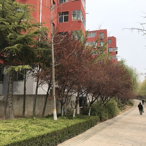 槐香小区3室1厅1卫南北朝向950.00元/月出租