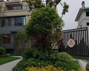 碧桂园翘楚棠3室2厅南北