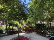 卫生间全明,大开间,小区入口附近,品质小区