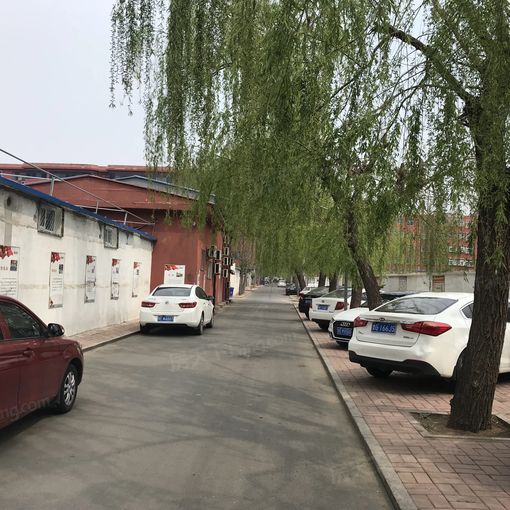 槐香小区3室1厅1卫南朝向800.00元/月出租
