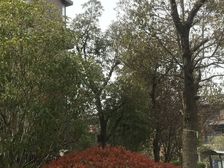 带产权车位,无抵押,精装,产权清晰新上房源