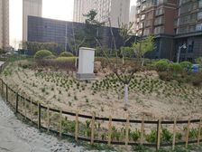裕祥园精品电梯毛坯房,全阳两居,楼层好