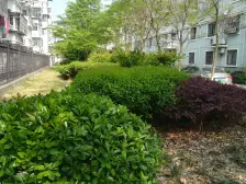 此房满五,户型方正拎包入住,楼层好视野开阔交通便利