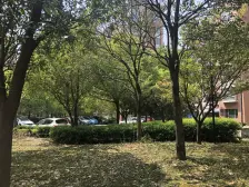 顾村·馨佳园十一街坊·1室·1厅
