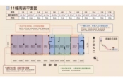 11幢商铺平面图