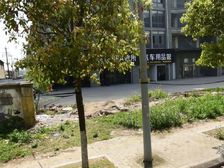 中创旁 景瑞御府边户183平别墅 带大院子 有双车位