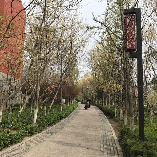 »±ÏãÐ¡Çø2ÊÒ1Ìü1ÎÀÄϱ±³¯Ïò500.00Ôª/Ô³ö×â