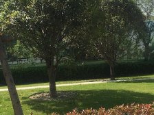 满两年税少,西边户,户型方正,采光好,环境好