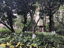 地铁口100米一房文林诚心出售带电梯