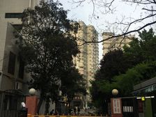 内环边新上品质外销房+全明户型+中间楼层+诚心卖