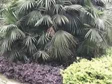 观音桥 信一金典二房110万