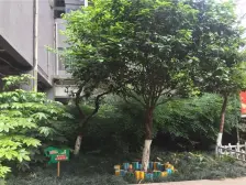 万达商圈+龙湖天街+双轻轨+住家装修+业主急卖