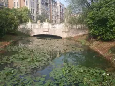 保集半岛御河湾 毛坯 三房 可以随意装修