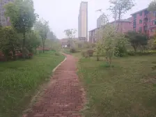 金涛御景花园 南北通透,采光好 视野好,诚心出售