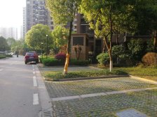 工业园湖东海悦花园三区1室2厅 装修 保养好 前排