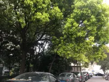 外销房,配套齐全,闹中取静,精装全明户型,近地铁