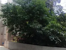 观音桥 俊豪名居三房