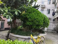 潍坊电梯一房+一室一厅+价格好谈+诚心出售+浦电路地铁