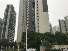 东区六房单元 精装修 南向 望花园 后面望桂畔河