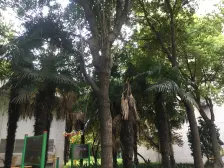 田林·金丽广场·2室·2厅
