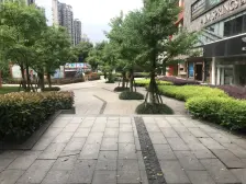 冉家坝 龙湖MOCO一房55万