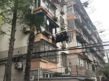 开鲁路382弄 1室1厅 南