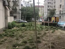 开鲁路382弄 2室0厅 南