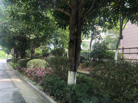 龙盘小区