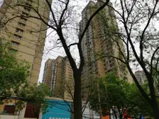 中原新城学府小区 1室1厅 北