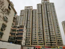 伊河路学小 年代新 全款房 产权清晰 无户口