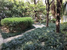 北外滩自家100平左右大露台,次顶楼,全景落地窗景观