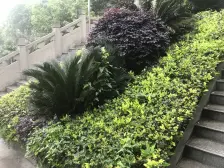 精装三室 价格美丽 拎包入住