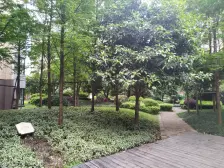 捡趴活!彩云湖精装三房 85 颗