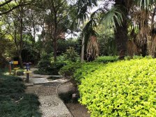 北外滩自家100平左右大露台,次顶楼,全景落地窗景观