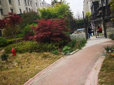 金水湾花园一楼带大院子车位储藏室精装修诚心出售