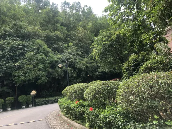 龙盘小区