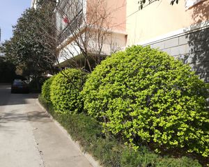 飞龙苑3室2厅南北