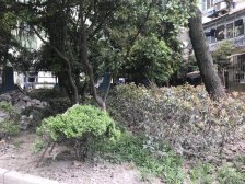 进才北,带院子,南北户型,诚意出售,欢迎来看