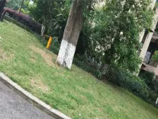 此房环境安逸,交通方便,适合居住,小区环境好