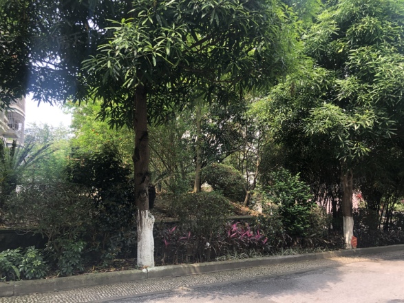 龙盘小区