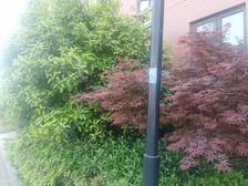 配套齐全 交通便利 成熟小区 乐筑良品