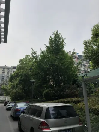 新城市广场