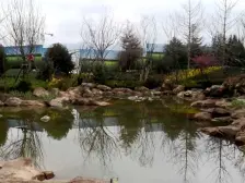 高新区定远镇红星天铂洋房三室朝南