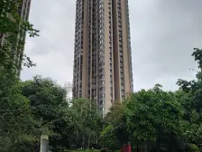 彩云湖 湖畔 精致小两房 配套完善 适合居家