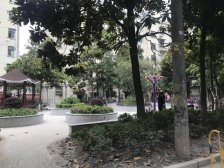 内环小户型,总价低,中楼层,诚意售,采光好!三轨交
