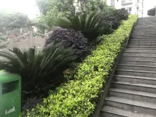 环线南湖站+视野开阔+朝向南+光线充足+诚心出售